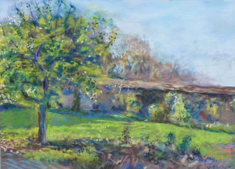 Le beau pommier bleu